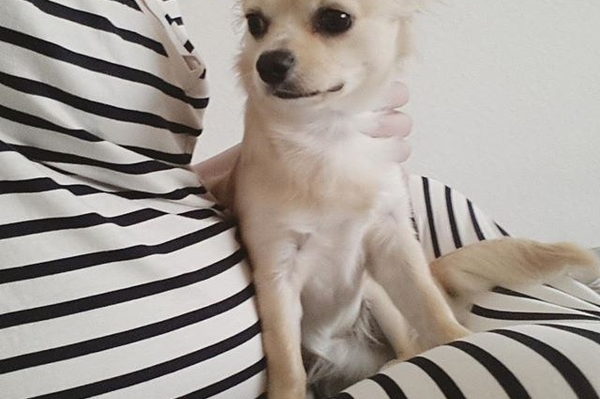 instagram.com/elle.michelle_