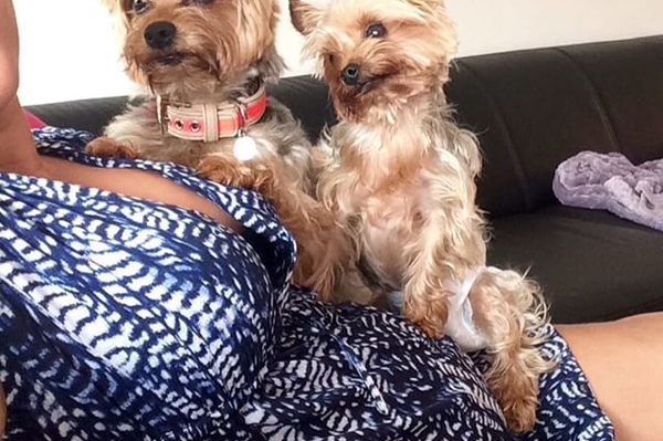 instagram.com/anneceys