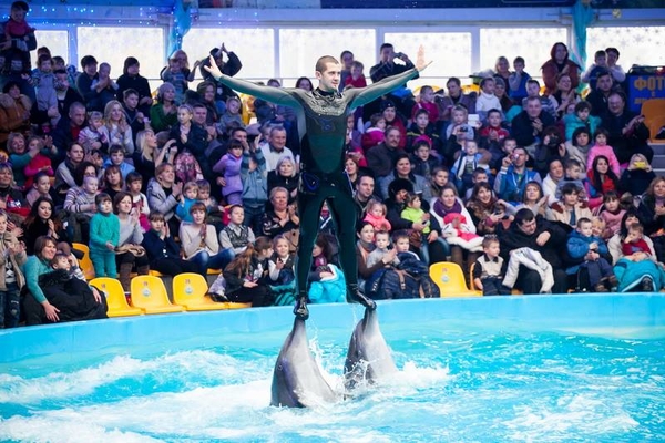 Куда пойти с ребенком в Киеве: Дельфинарий и океанариум столицы
