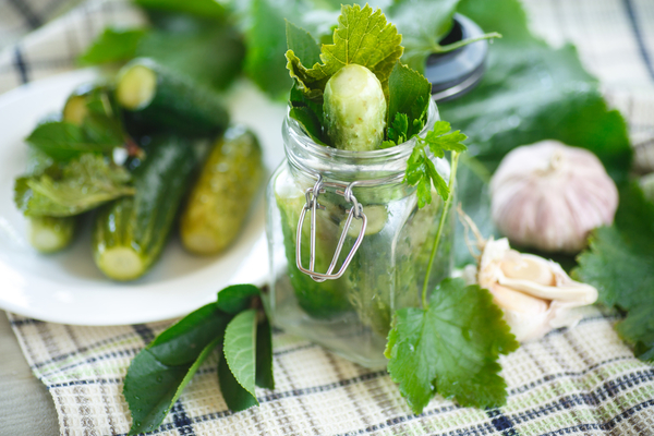 Как приготовить малосольные огурцы на хлебе