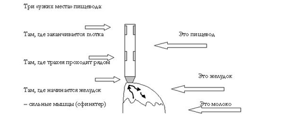 Что делать, если ребенка рвет: Советы специалиста