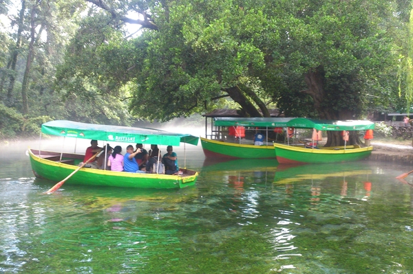 Юлия Мясоедова