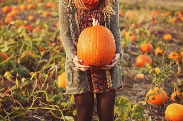 selectivepotential.com