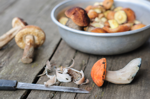 Как чистить грибы