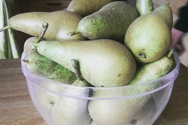 instagram.com/ahtnemas