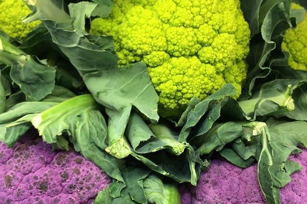 instagram.com/mbsfestival