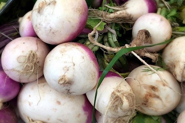 instagram.com/freaktree