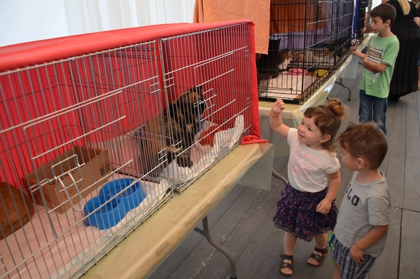 пресс-служба