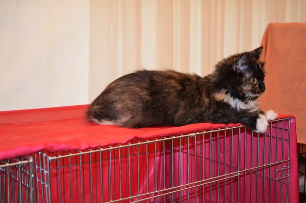 пресс-служба