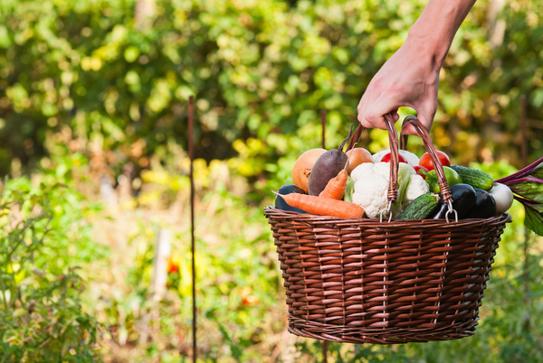 Диета при кормлении грудью: Советы эксперта