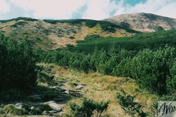 Фото: Марина Головнева