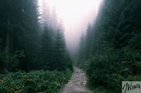 Фото: Марина Головнева