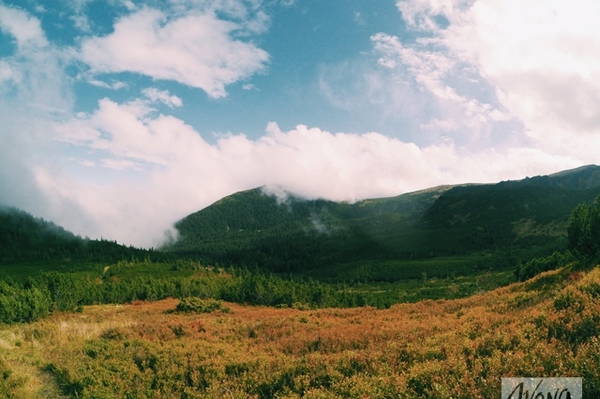 Фото: Марина Головнева