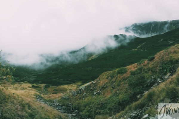 Фото: Марина Головнева