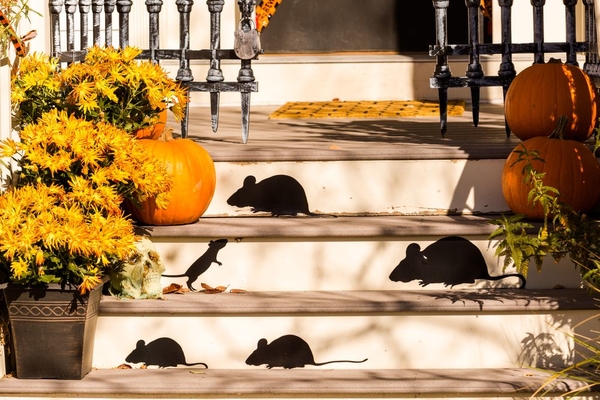 Как украсить дом на Хэллоуин: ТОП-3 легких варианта