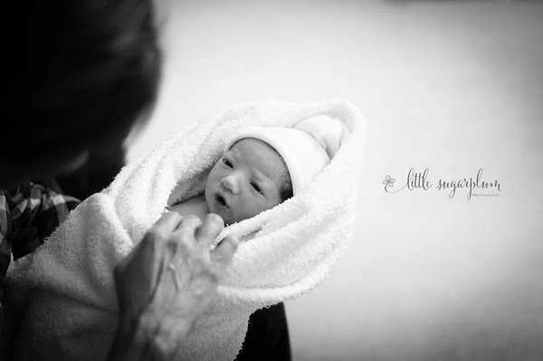 littlesugarplumphotography.ca