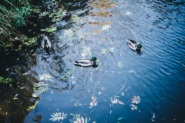 Фото: Марина Головнева