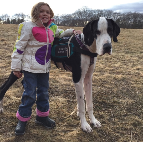 Пес подарил малышке возможность ходить: Видео
