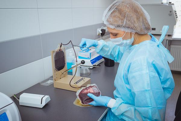 Что такое пуповинная кровь и чем она полезна