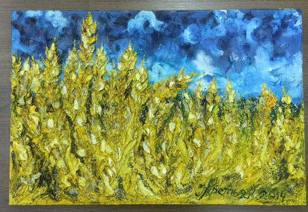 Мисс Украина 2015 Кристина Столока представит национальный костюм