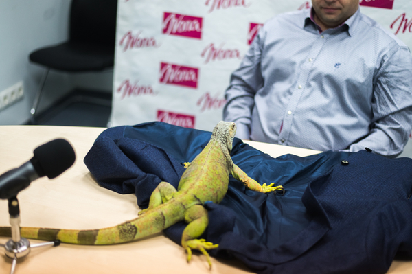 Фото: Марина Головнева