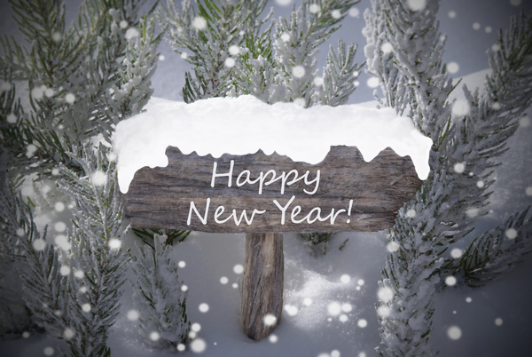 Новый год 2016: Официальное поздравление