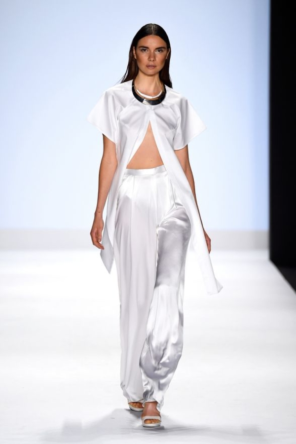 В чем встречать Новый год 2016 по знакам Зодиака