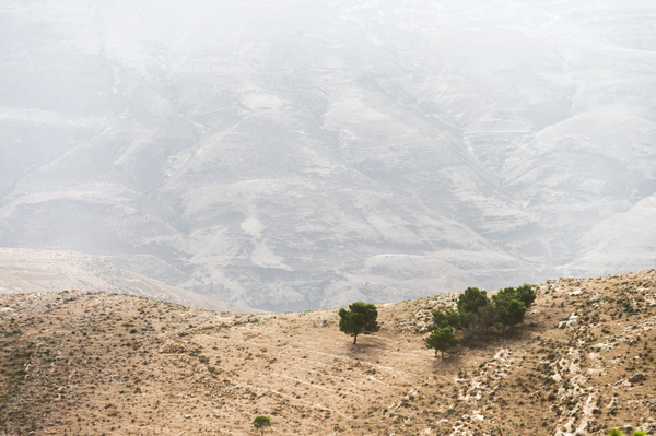 Фото: Марина Головнева