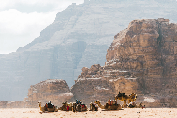 Фото: Марина Головнева