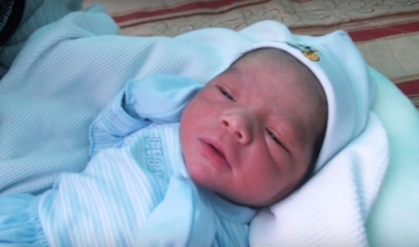 Бродячая собака спасла жизнь выброшенной новорожденной крохе