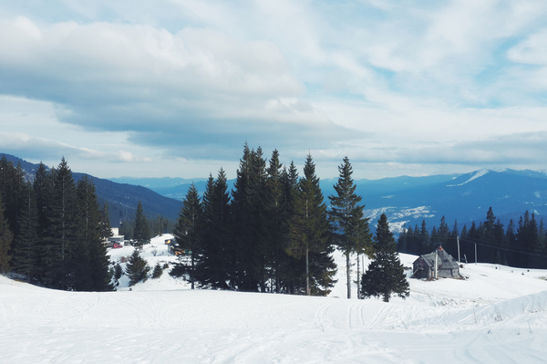 Фото: Марина Головнева