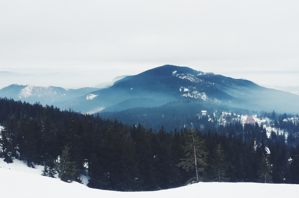 Фото: Марина Головнева