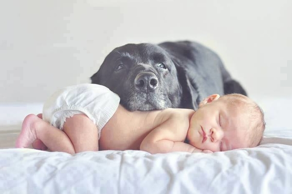 Фото дня: Это любовь!