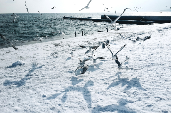 Фото: Марина Головнева