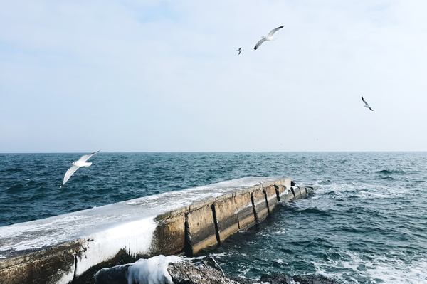 Фото: Марина Головнева