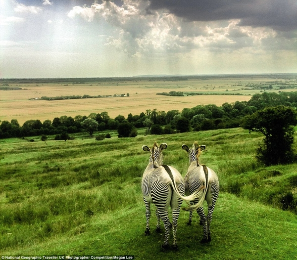 Впечатляющие снимки финалистов конкурса National Geographic Traveler's