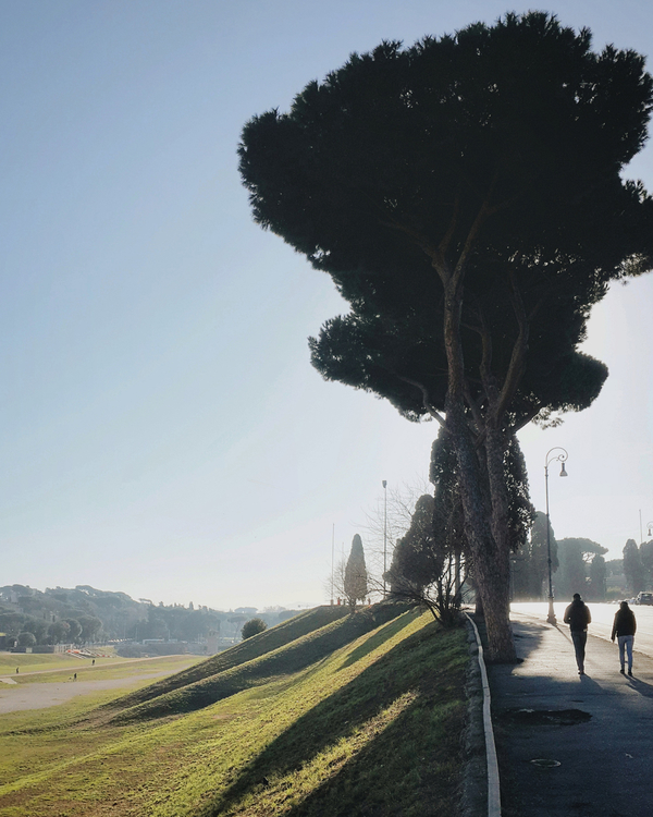 Римские каникулы: что успеть в вечном городе за один день