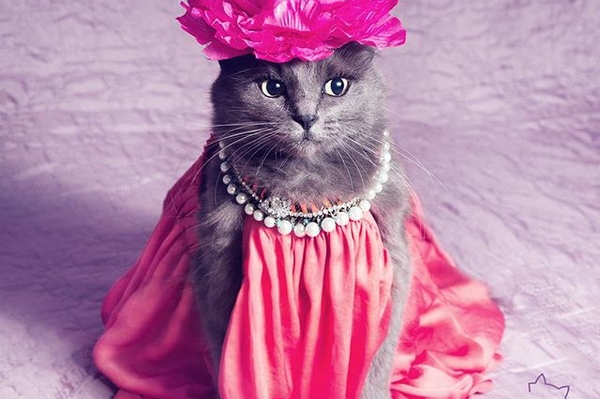 instagram.com/pussinglam