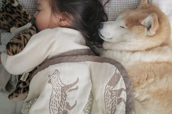 instagram.com/philo_pompon