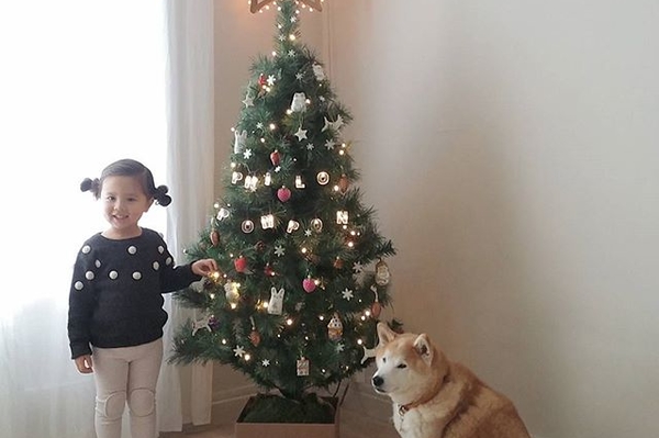 instagram.com/philo_pompon