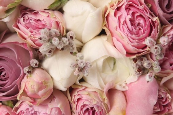 cantinhodoblog.com.br