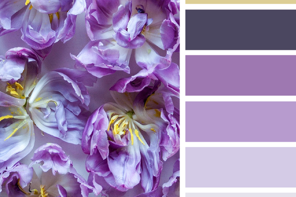 пресс-служба