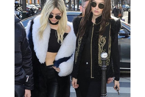 instagram.com/ziginews