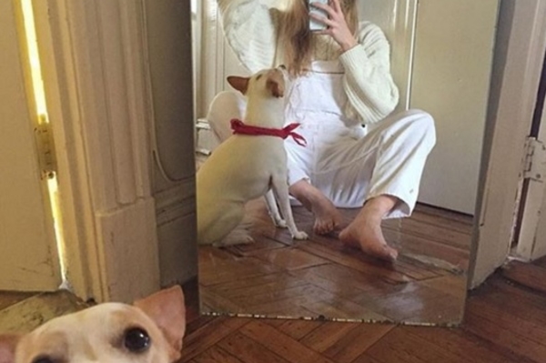 instagram.com/wrongeye4