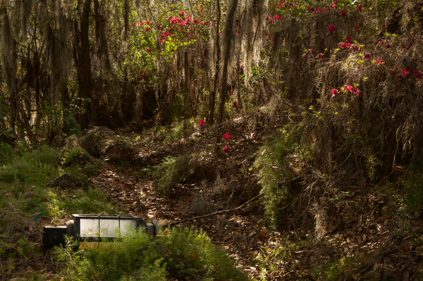 Scott Henderson / flickr.com