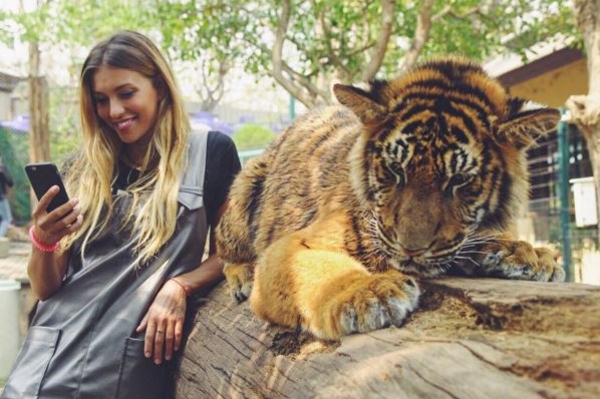 instagram.com/reginatodorenko