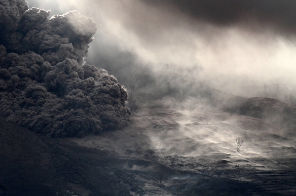 ©Albert Ivan Damanik