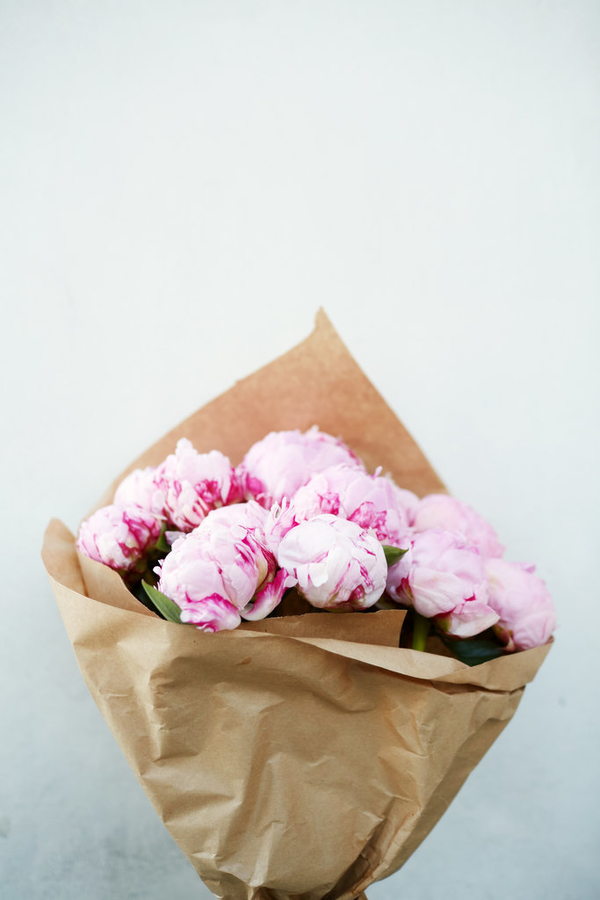 11 интересных фактов о пионах