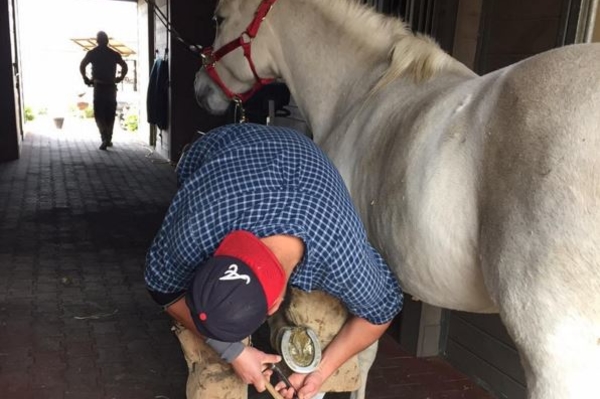 instagram.com/ladygaga