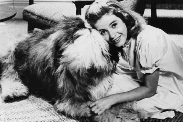 vk.com/pattyduke